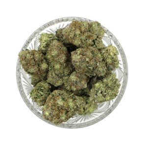 Bonguru Rockstar